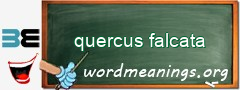 WordMeaning blackboard for quercus falcata